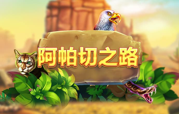 澳门今晚精准一马